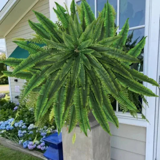 GreenGlow™ - Lifelike Boston Fern