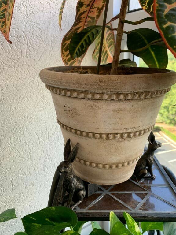 PotStand™ Healthy Root Support