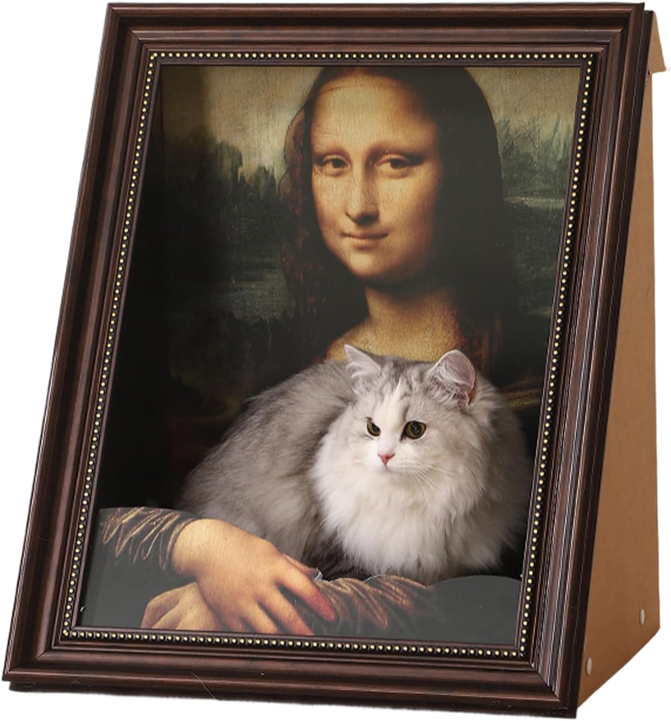 MonaPaw™ - Elegant Cat Scratcher Bed