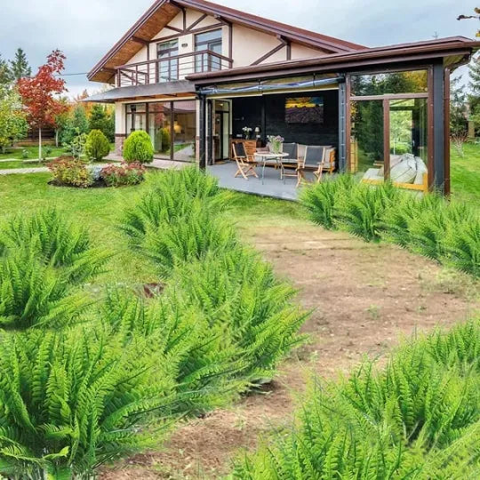 GreenGlow™ - Lifelike Boston Fern