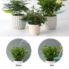 SprayLeaf™ Sustainable Plant Care