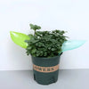 SprayLeaf™ Sustainable Plant Care