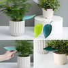 SprayLeaf™ Sustainable Plant Care