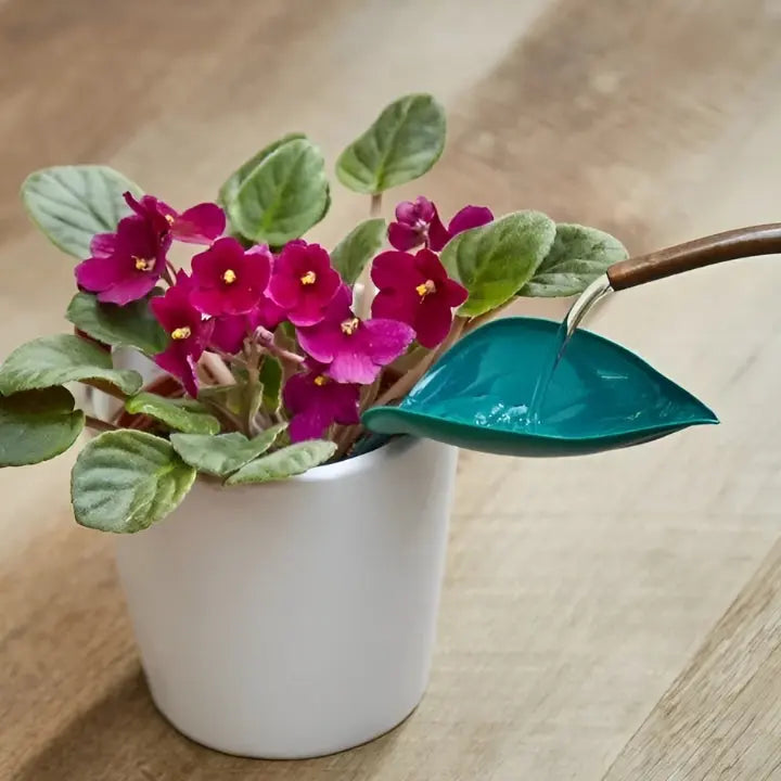 SprayLeaf™ Sustainable Plant Care