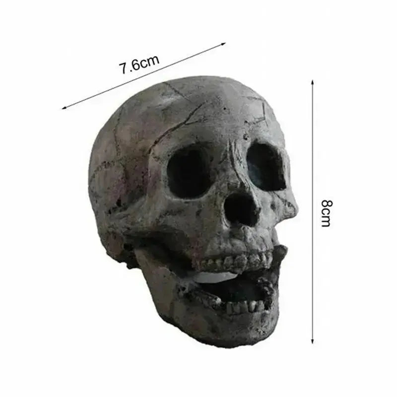 ( 1+2 ) FREE | SkullFlame™ | Fire Skull