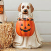 50% OFF | PumpkinPal™ | Halloween Candy Display
