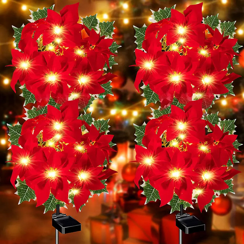 Poinsettia Lights – Bright Christmas stars
