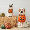 50% OFF | PumpkinPal™ | Halloween Candy Display