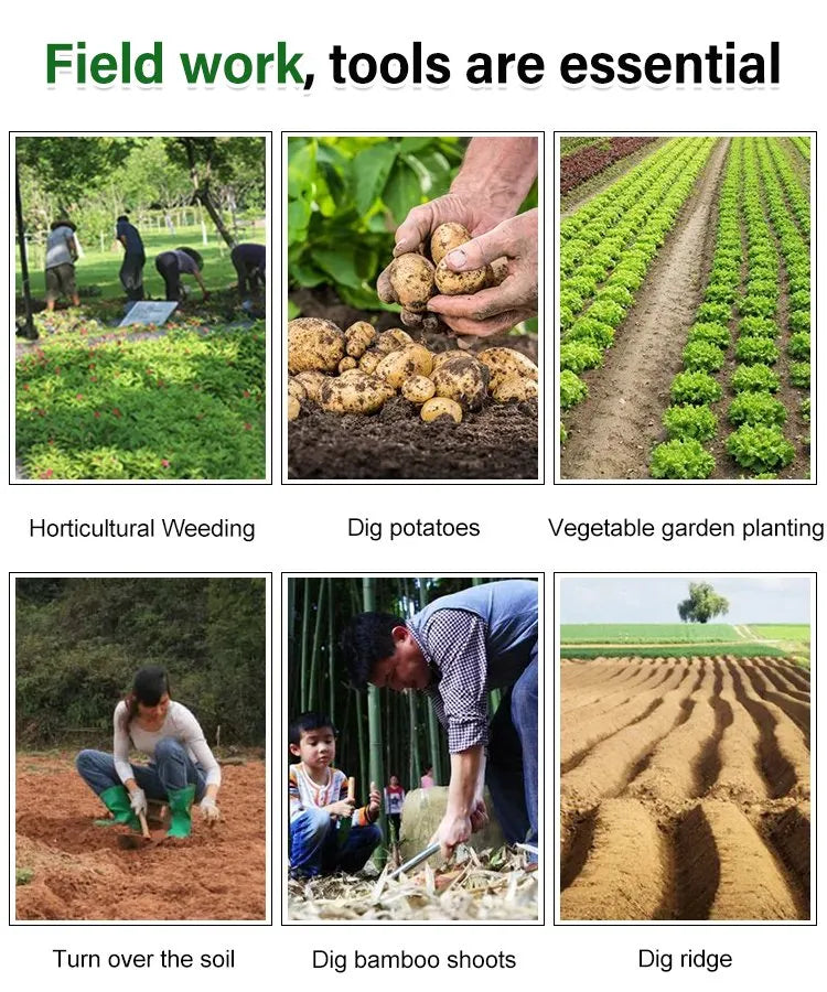 GrassGuard™ | The Ultimate Weed Removal Tool