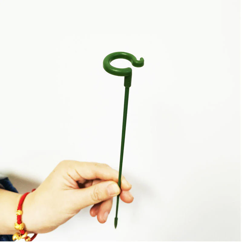 BloomBuddy™ Thriving Plant Growth