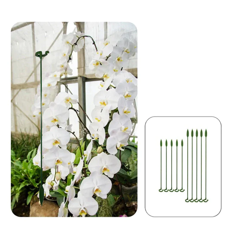 BloomBuddy™ Thriving Plant Growth