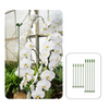 BloomBuddy™ Thriving Plant Growth