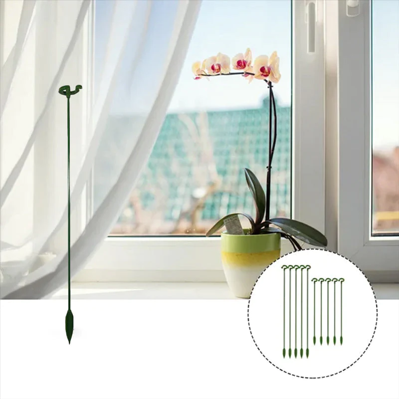BloomBuddy™ Thriving Plant Growth