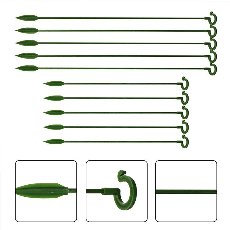 BloomBuddy™ Thriving Plant Growth