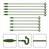 BloomBuddy™ Thriving Plant Growth