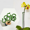 BloomBuddy™ Thriving Plant Growth