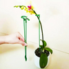 BloomBuddy™ Thriving Plant Growth
