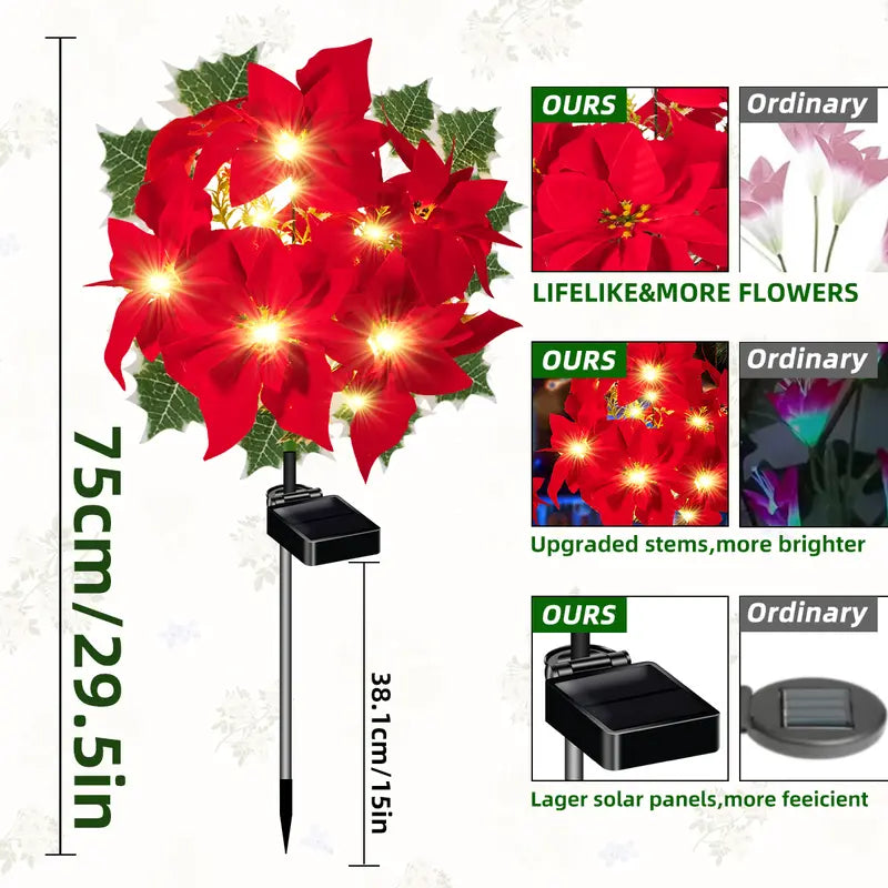 Poinsettia Lights – Bright Christmas stars