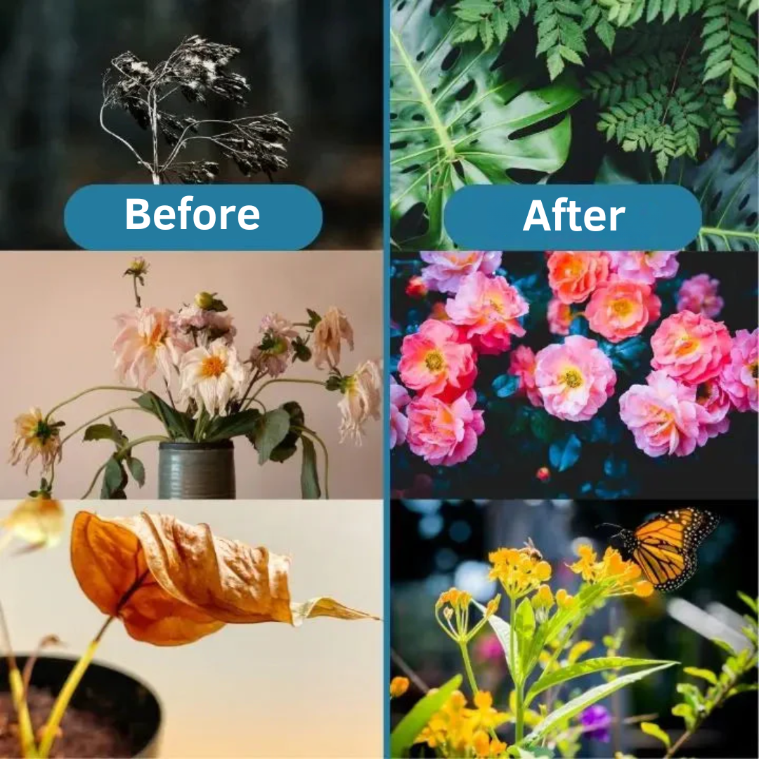 EcoGrow™ | 🌿 Organic Fertiliser Tablets for Faster Growing, Healthier Plants