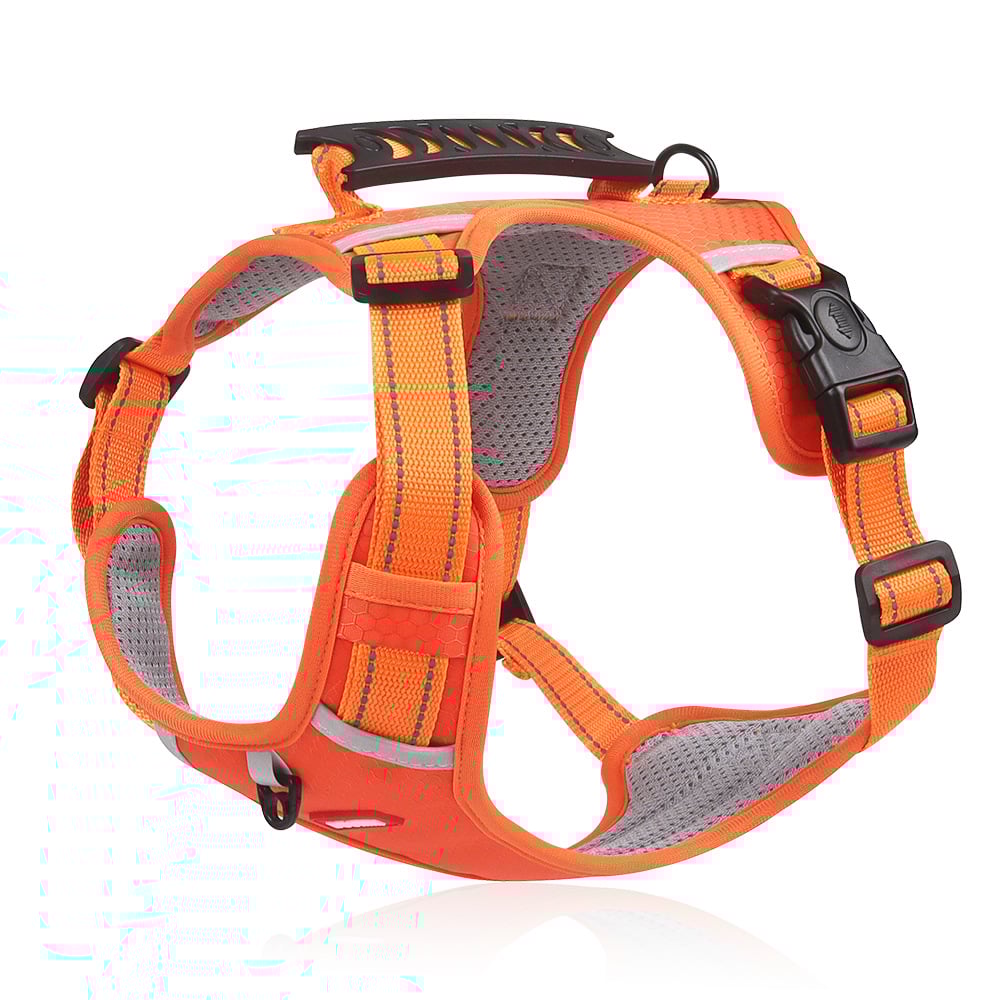 50% OFF | PawHalo™ | No-Pull Reflective Dog Harness