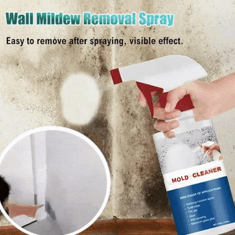 MoldBuster™ — Erase Mold Fast for a Fresh, Safe Home You’ll Love