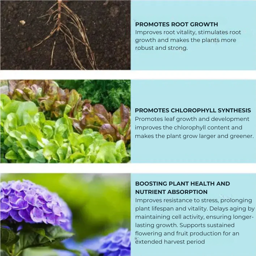 EcoGrow™ | 🌿 Organic Fertiliser Tablets for Faster Growing, Healthier Plants