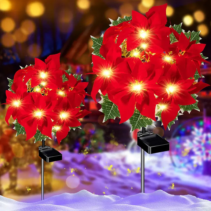 Poinsettia Lights – Bright Christmas stars