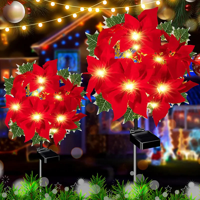Poinsettia Lights – Bright Christmas stars