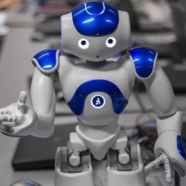 RoboWave Toys – Gesture Control