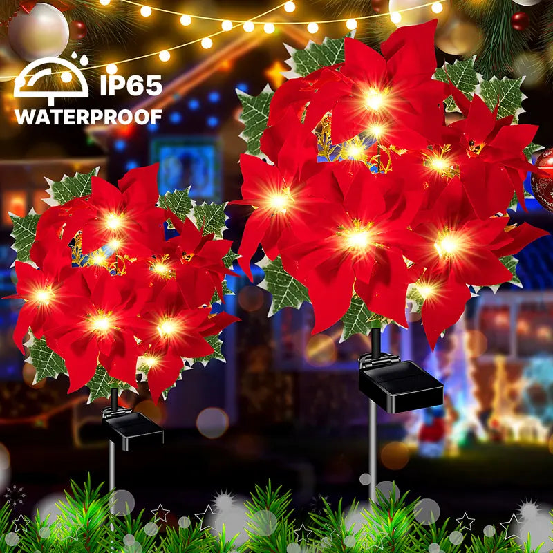 Poinsettia Lights – Bright Christmas stars