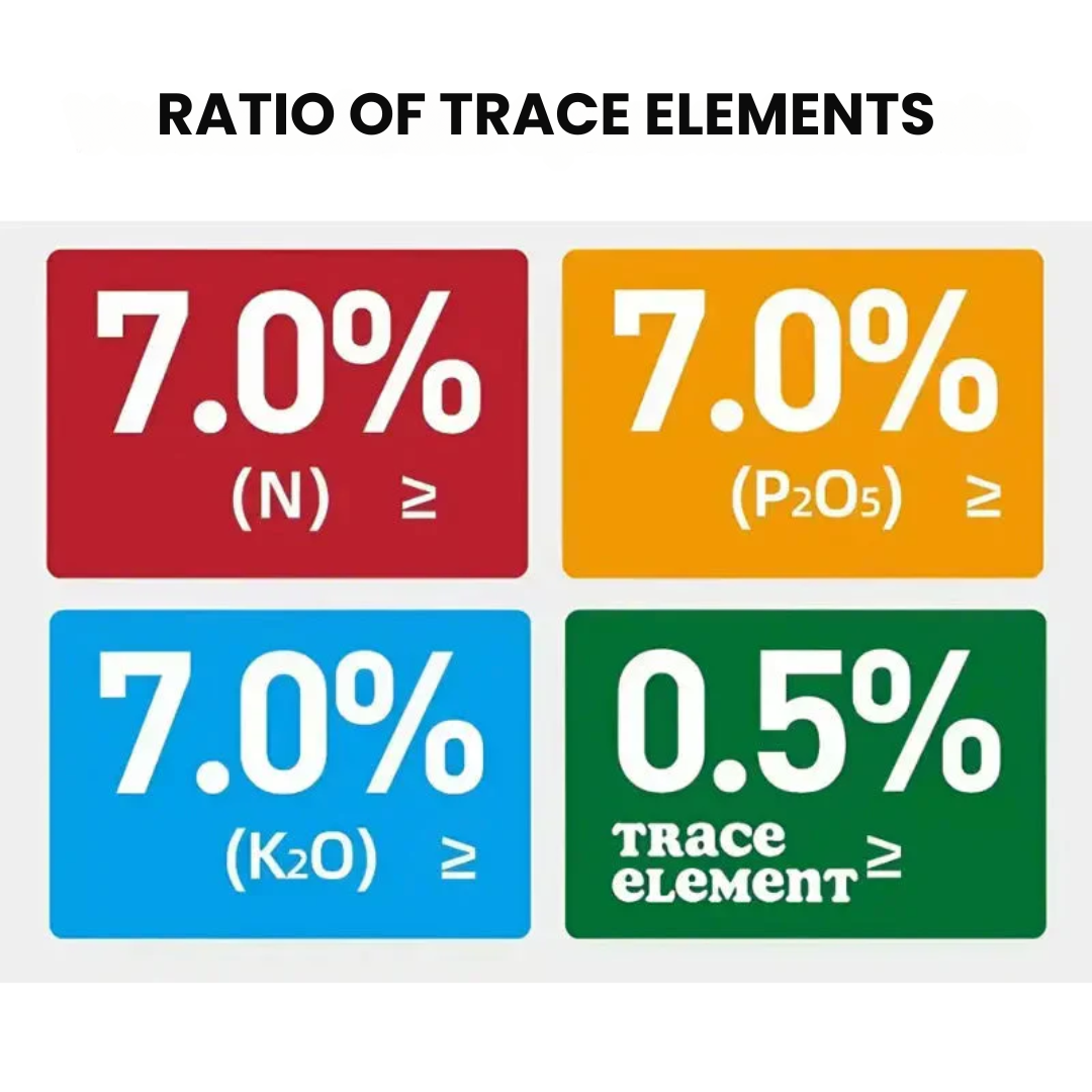 EcoGrow™ | 🌿 Organic Fertiliser Tablets for Faster Growing, Healthier Plants