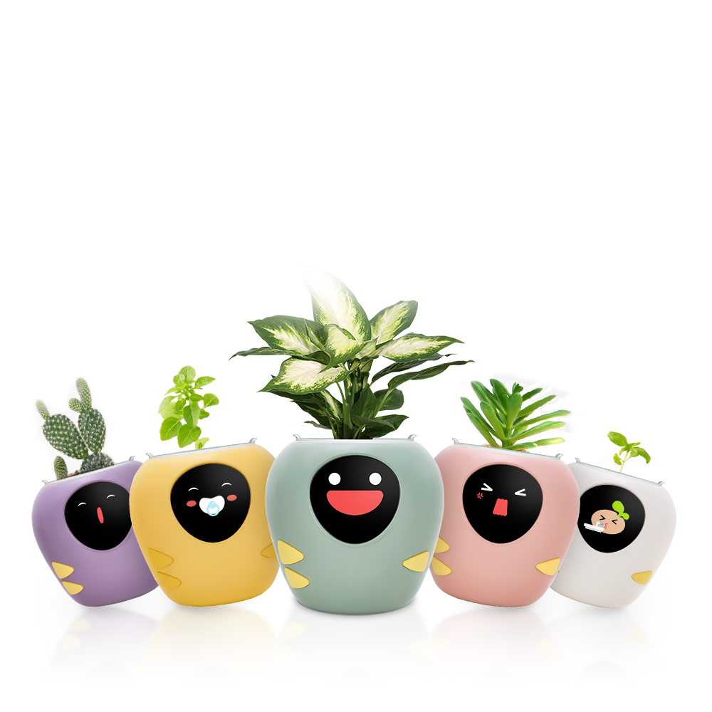 GrowMate™ – The AI-controlled plant pot