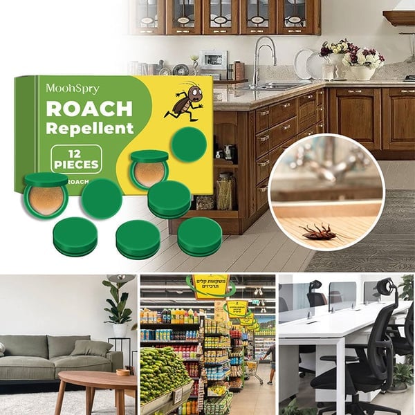 HeimFrei™ - Roach Bait Stations