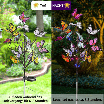 ButterflyBloom™ Enchants Garden Pathways