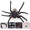 50% OFF | BoneRattle™ | Halloween Skeleton Remote Control Toy