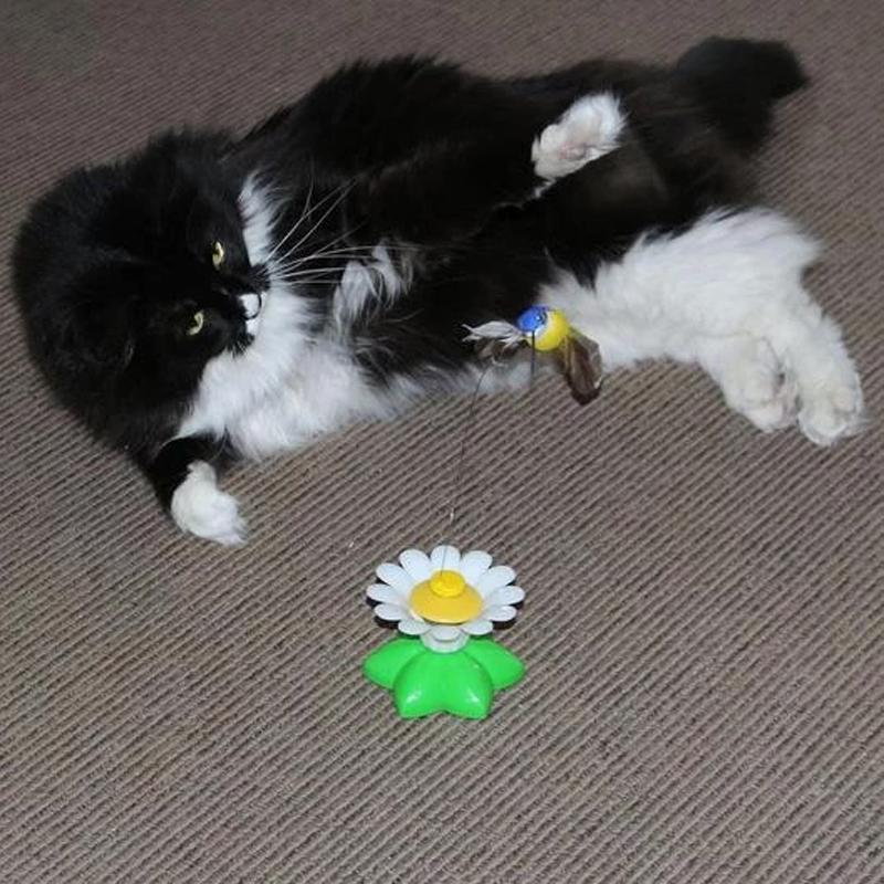 HappyCats™ - Interactive cat toy