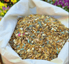 BloomBack™ – 1000 Perennial Flower Seeds