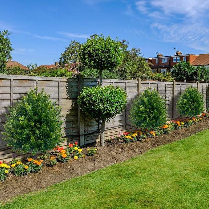 CedarGreen™ Instant Landscape Upgrade