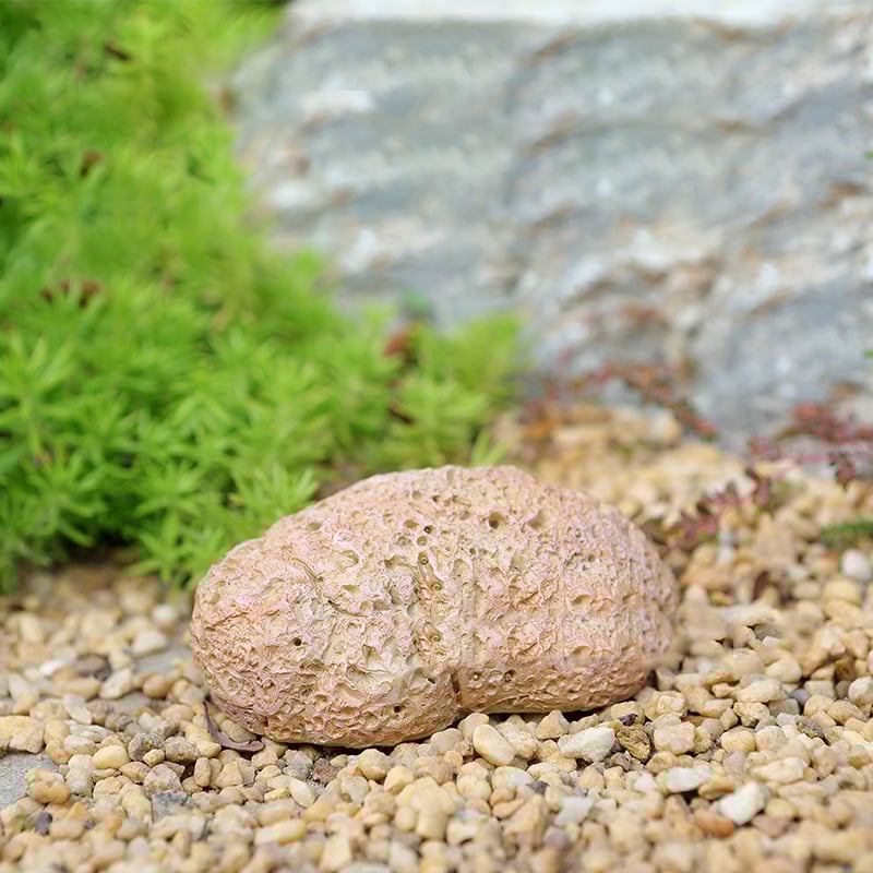 StoneSafe™ | Stone Key Hideout | Weatherproof & Ideal for the Garden.