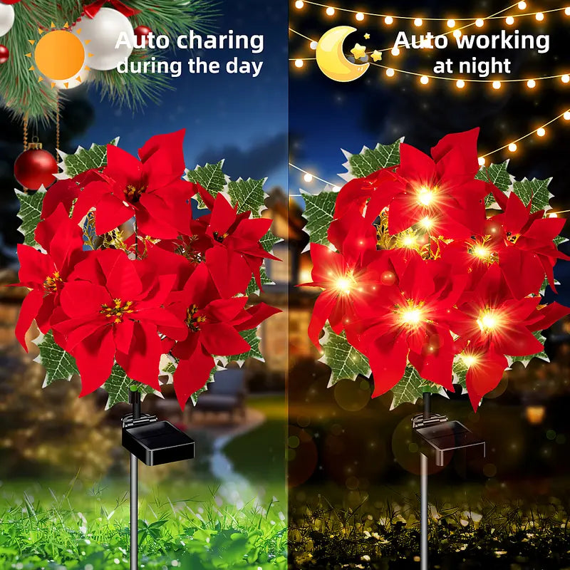Poinsettia Lights – Bright Christmas stars