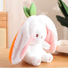50% OFF | BerryBurrow™ | Plush Bunny Toy