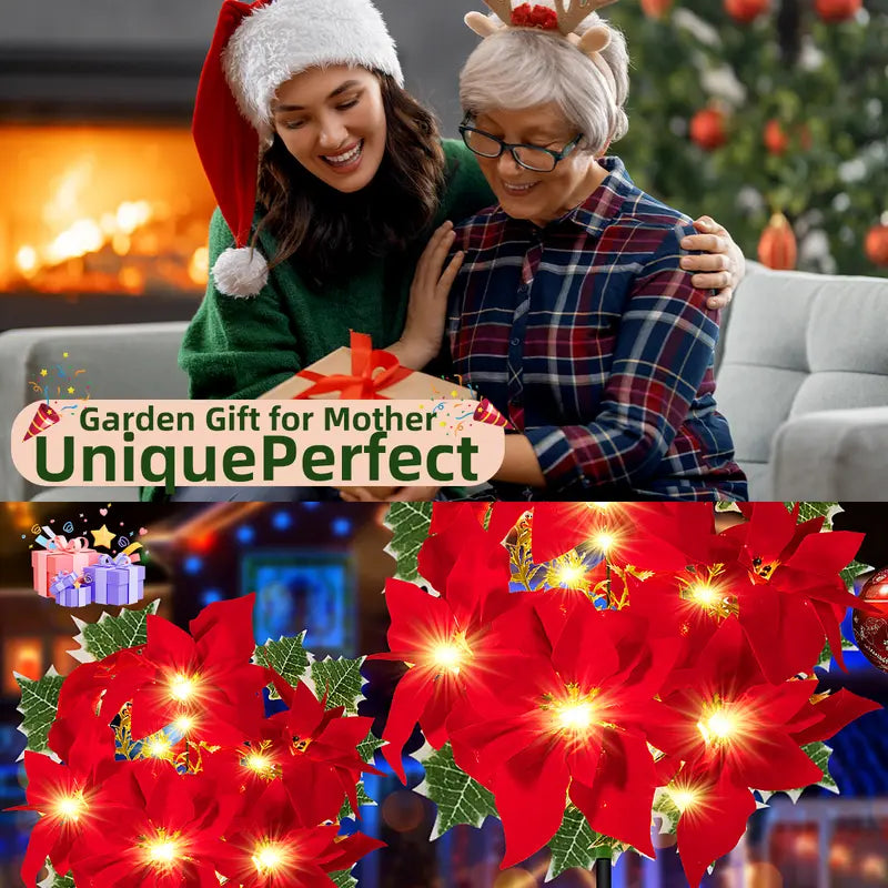 Poinsettia Lights – Bright Christmas stars