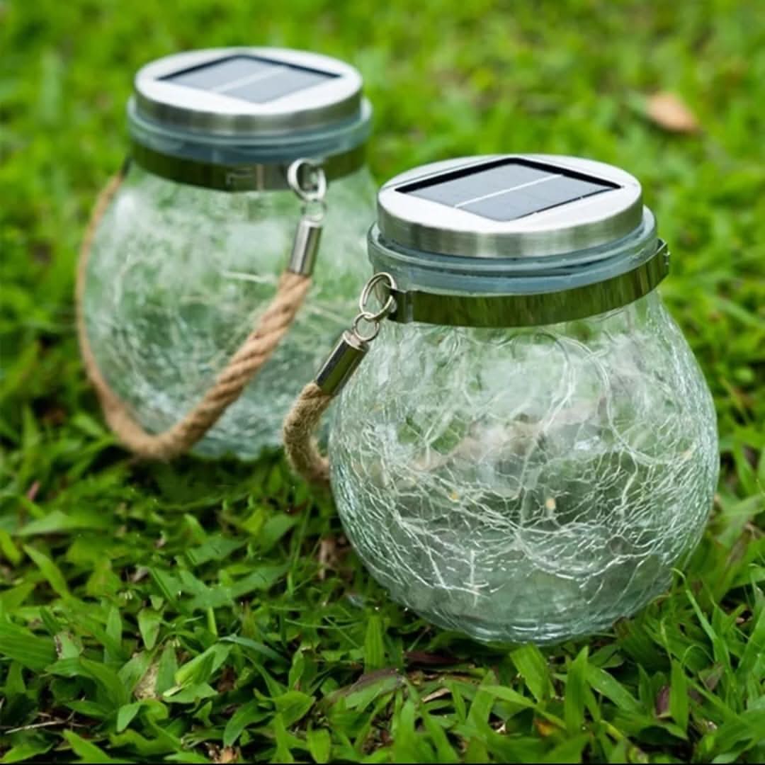 1+1 Free | LushLight™ Enchanting Night Illumination