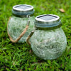 1+1 Free | LushLight™ Enchanting Night Illumination