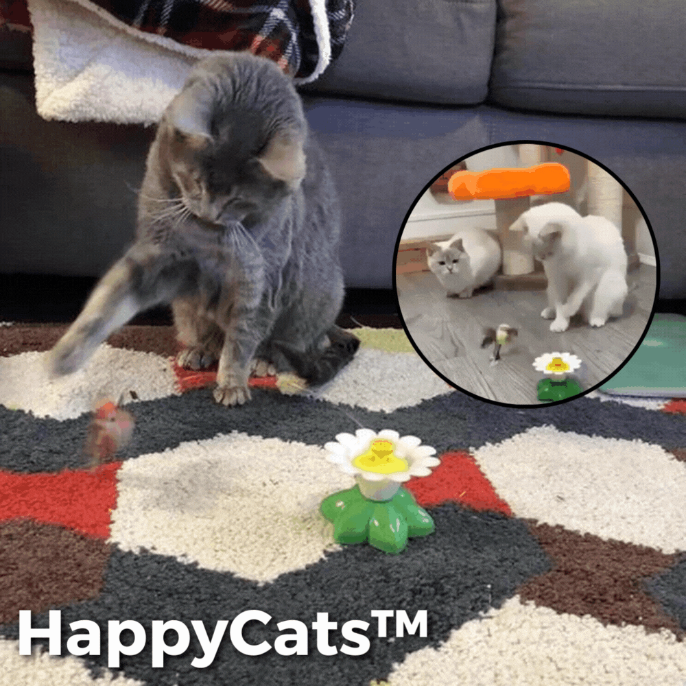 HappyCats™ - Interactive cat toy