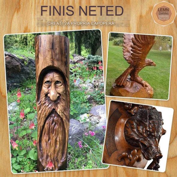 ProCraft Kit™ Wood Engraving Tools