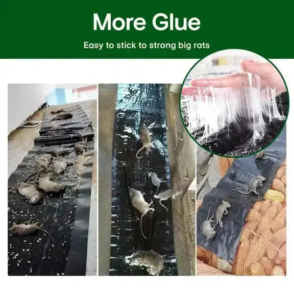 SureGrip™ | Rat Glue Trap with Extra-Strong Adhesive