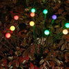 Solar-powered Firefly Lamps | Let your outdoor space shine at night (6 lights)