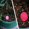 SoilMagic™ Enhances Soil Vitality
