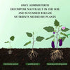 SoilMagic™ Enhances Soil Vitality